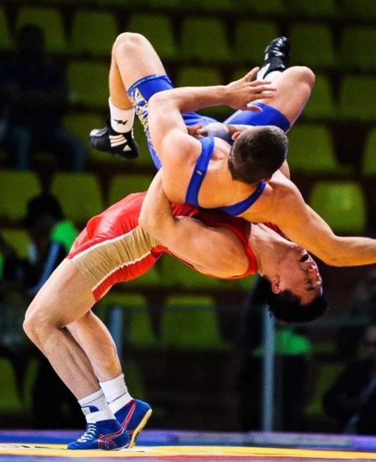 Freestyle Wrestling